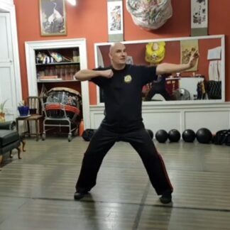Ba Duan Jin Qigong - Level 1 - 9 Part Course